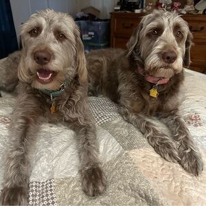 Shop with us! Reasonable offers welcomed!